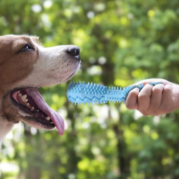 Dog Chew Toy