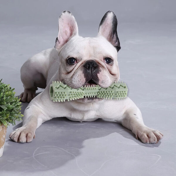 Dog Chew Toy