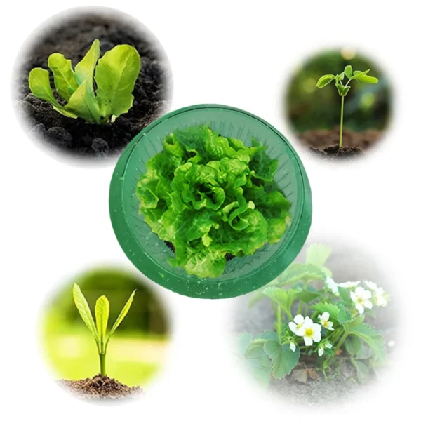 Snail Collars Snail Protection Rings Reusable Slug Plant Protection Collars Save Water for Protects Plants To Get Better - Image 16