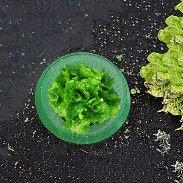 Snail Collars Snail Protection Rings Reusable Slug Plant Protection Collars Save Water for Protects Plants To Get Better - Image 3