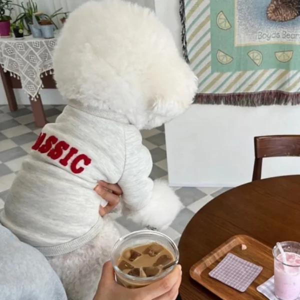 Luxury Dog Hoodies Letter Print Dog Pullovers Winter Warm Puppy Clothes Cute Cat Hoodies Pet Sweatshirt Bichon Frise Dog Clothes - Image 2