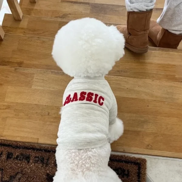 Luxury Dog Hoodies Letter Print Dog Pullovers Winter Warm Puppy Clothes Cute Cat Hoodies Pet Sweatshirt Bichon Frise Dog Clothes - Image 3