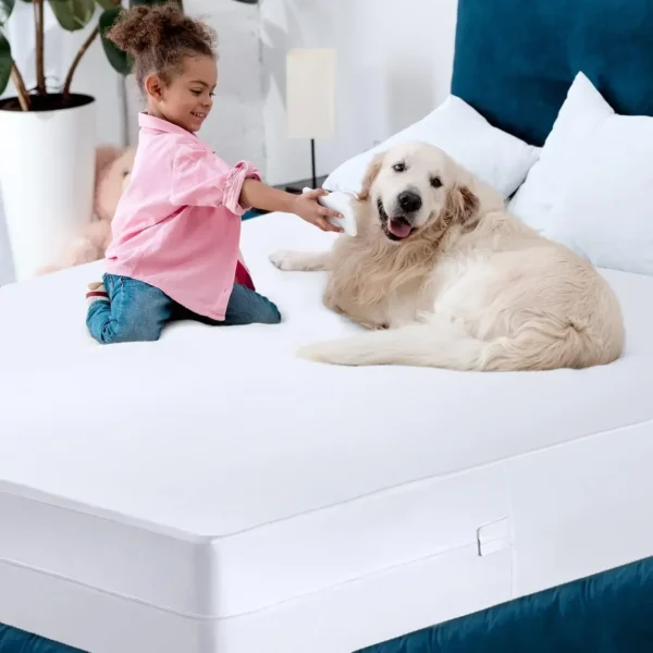 Bedding Zippered Mattress Encasement Full, 100% Waterproof Bed Bug and Dust Mite Proof Mattress Protector,  (Pack of 10) - Image 4