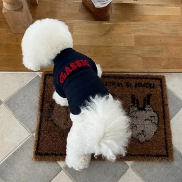 Luxury Dog Hoodies Letter Print Dog Pullovers Winter Warm Puppy Clothes Cute Cat Hoodies Pet Sweatshirt Bichon Frise Dog Clothes - Image 5