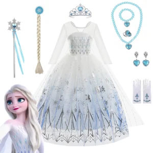 Dress Up Dress and Accessories
