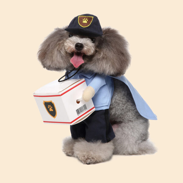 Dog Delivery Uniform Costume